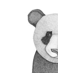 Pete the Panda- SALE