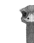Eva the Emu
