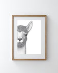 Austin the Alpaca