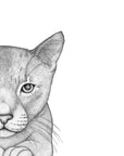 Catherine the Cat