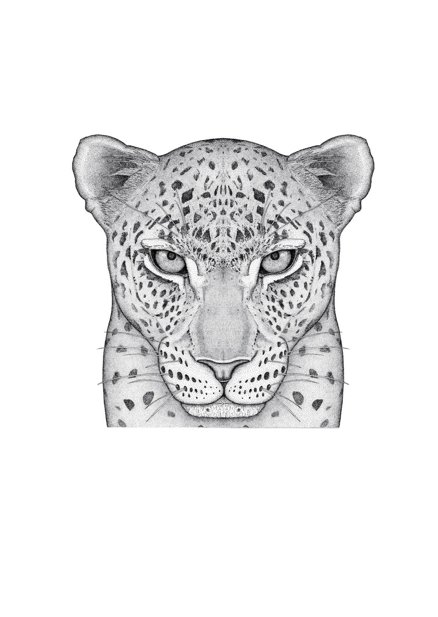◆RIETI◆ LEOPARD BIANCA RT 4045 C2 MUSINSA | RIETI BIANCA RT 4045 C2 LEOPARD