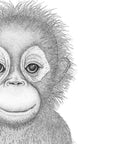 Ollie the Orangutan