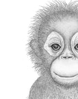 Ollie the Orangutan
