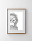 Ollie the Orangutan