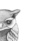 Olivia the Owl
