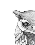 Olivia the Owl