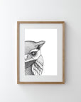 Olivia the Owl