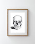 Skull with Gold Foil Leaf Tooth