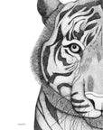Timothy the Tiger