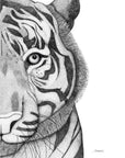 Timothy the Tiger