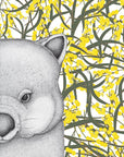 Walter the Wombat with Wattle
