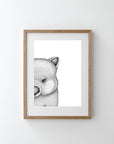Walter the Wombat