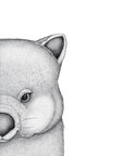 Walter the Wombat