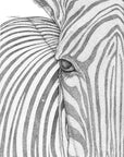 Zane the Zebra