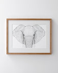 Ethan The Elephant - Full Face