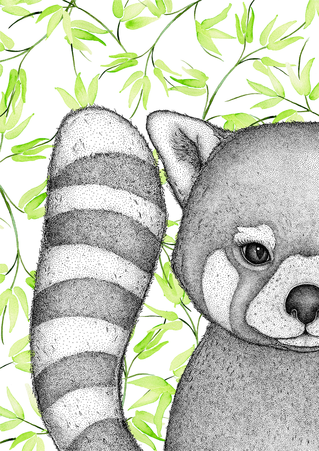 Bamboo Rafi Rafi the Red Panda with Bamboo Leaves – Dots by Donna
