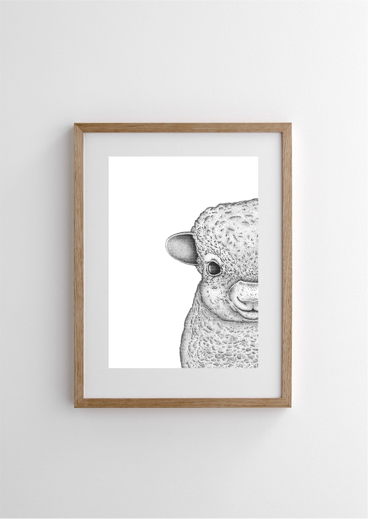 Sofia the Sheep