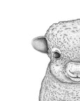 Sofia the Sheep