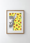 Austin the Alpaca with Sunflower Background