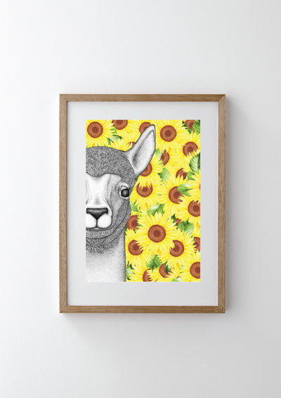 Austin the Alpaca with Sunflower Background