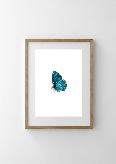 Forever Blue Butterfly