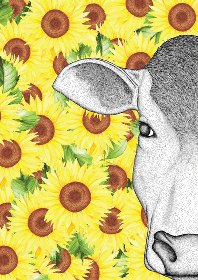 Carly the Cow with Sunflower Background