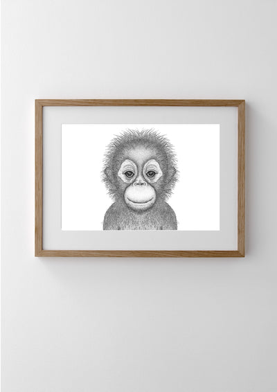 Ollie the Orangutan - Full Face