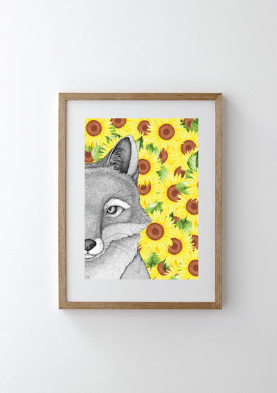 Franklin the Fox with Sunflower Background