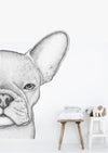 Freddie the Frenchie Removable Wall Decal