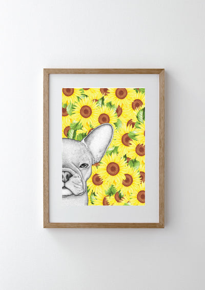 Freddie the Frenchie with Sunflower Background