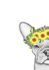 Freddie the Frenchie with Sunflower Crown