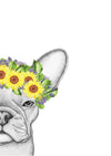 Freddie the Frenchie with Sunflower Crown