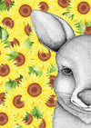 Jasmine the Joey with Sunflower Background