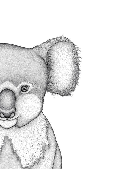 Kerry the Koala