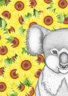 Kerry the Koala with Sunflower Background