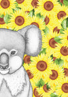 Kerry the Koala with Sunflower Background