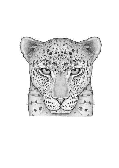 Luca the Leopard - Full Face