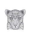 Luca the Leopard - Full Face SALE