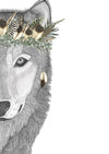 William the Wolf with Luxe Feather Crown