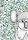 Kenneth the Koala with Eucalyptus Leaves