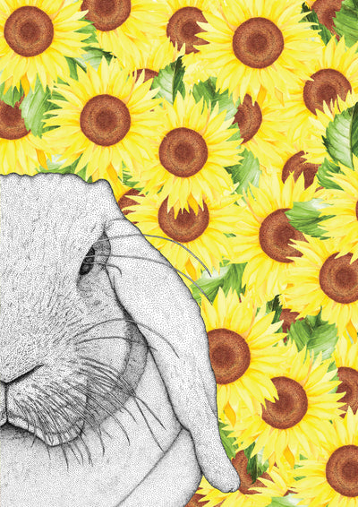Rebekah the Rabbit with Sunflower Background