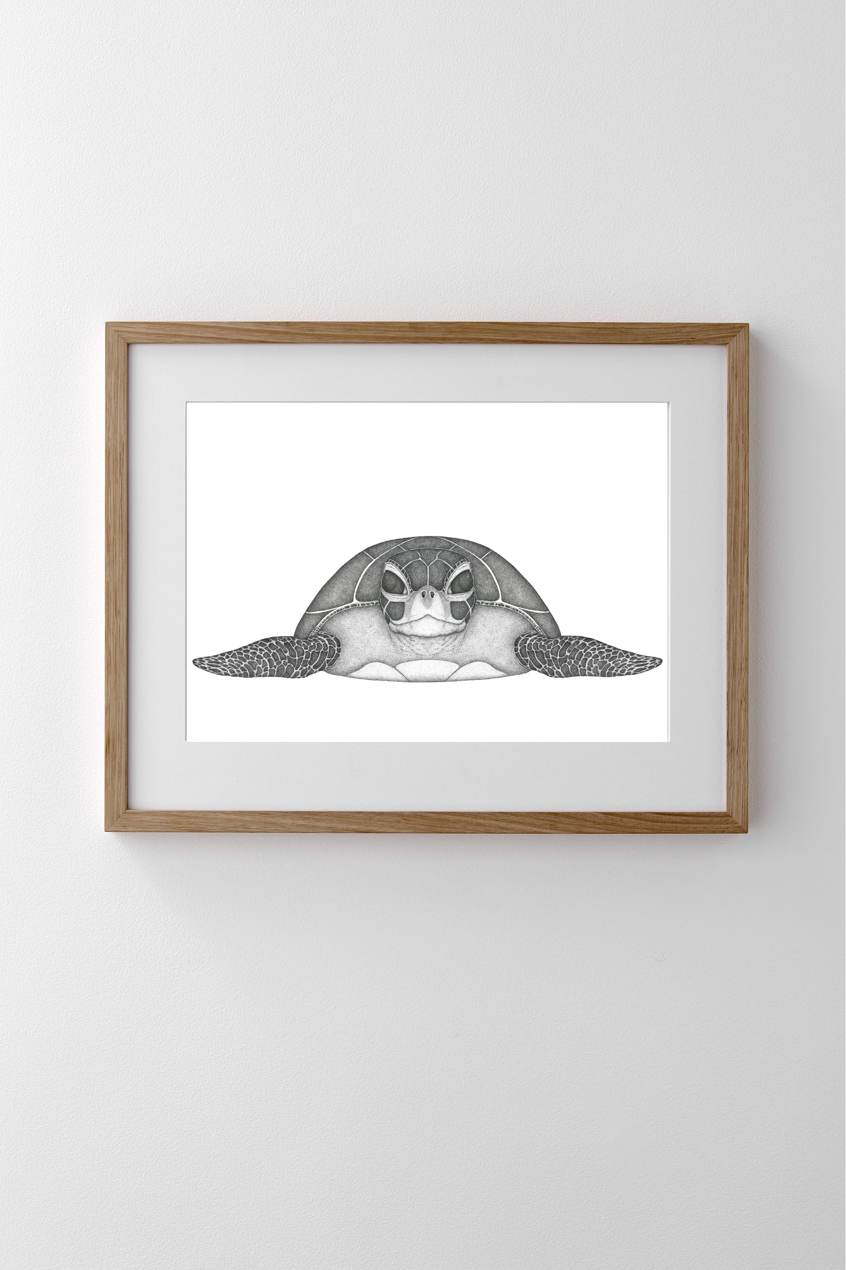 Susan the Sea Turtle- Full Face