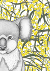 Kenneth the Koala with Wattle- BUSHFIRE APPEAL