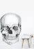 Skull Removable Wall Decal