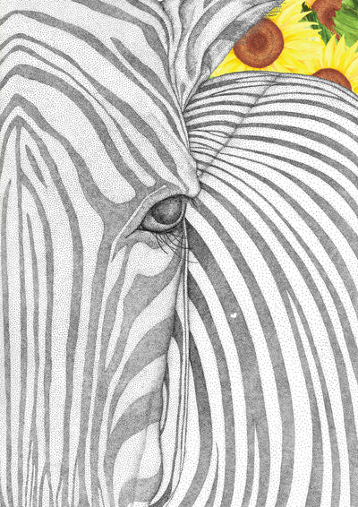 Zane the Zebra with Sunflower Background